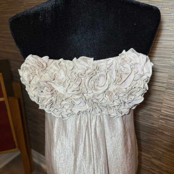 Champagne Prom Dress - Picture 3 of 4